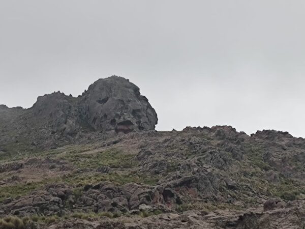 Condor Sighting - Image 13