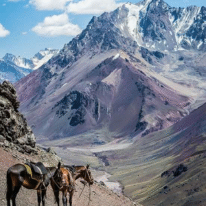 Excursión Alta Montaña Mendoza: Potrerillos
