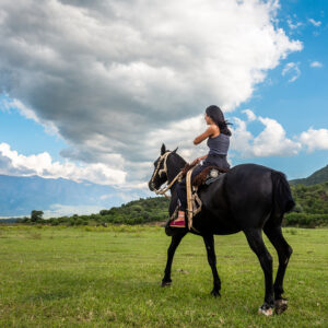 Cabalgata en NONO: Los Algarrobos