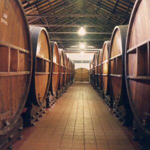 Excursión en Mendoza: Bodegas y Aceitera