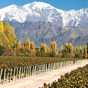 Excursión Mendoza: Experiencia Valle De Uco